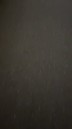 りんりんりんの記事動画