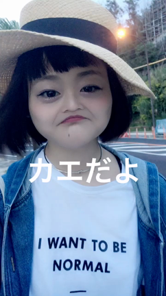 沖縄ではまるの記事動画