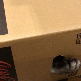 慌ただしい1年の画像