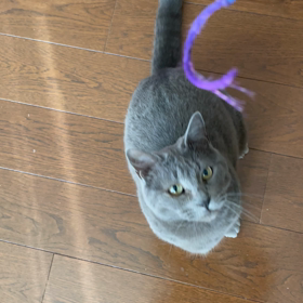 2008年もただでは、終わらなかった。の画像