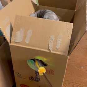 薬という名のラムネの画像