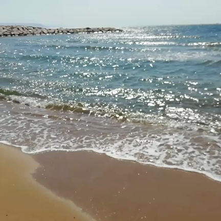 我が家の海の記事動画