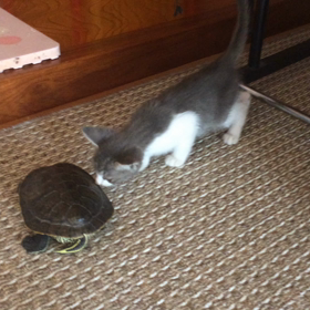 ご対面の画像