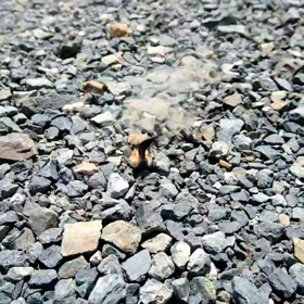 気味の悪い花火(^o^;)の画像