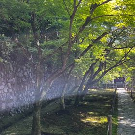 京都・一休寺　2の画像