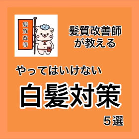 ✨髪質改善師が教える✨『やってはいけない白髪対策 ５選』の画像