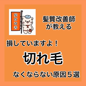 ✨髪質改善師が教える✨『損していますよ！切れ毛がなくならない原因5選』の画像