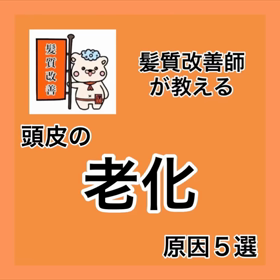 ✨髪質改善師が教える✨『頭皮の老化 原因５選』の画像