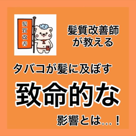 ✨髪質改善師が教える✨『タバコが髪に及ぼす致命的な影響とは…！』の画像
