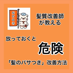✨髪質改善師が教える✨『放っておくと危険！「髪のパサつき」改善方法お伝えします』の画像