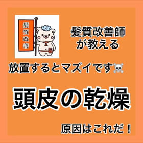 ✨髪質改善師が教える✨『放置するとマズイです！頭皮の乾燥 原因はこれだ❗️ 』の画像