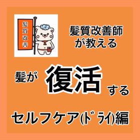 ✨髪質改善師が教える✨ 『髪が復活するセルフケア(ﾄﾞﾗｲ編)』の画像