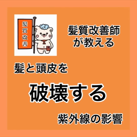 ✨髪質改善師が教える✨『髪と頭皮を破壊する紫外線の影響』　廿日市市髪質改善美容室の画像
