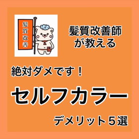 ✨髪質改善師が教える✨『絶対ダメです！セルフカラー デメリット５選』の画像