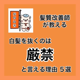 ✨髪質改善師が教える✨『白髪抜くのは厳禁と言える理由 ５選』の画像