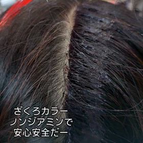 2025/03/30の画像