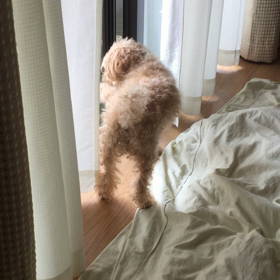 今日はどうかな？？の画像