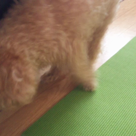 数秒で…の画像