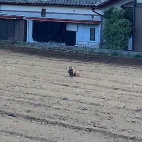 え？の画像