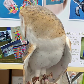 フクロウの画像