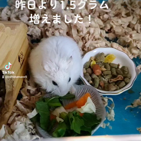 術後２日目の画像