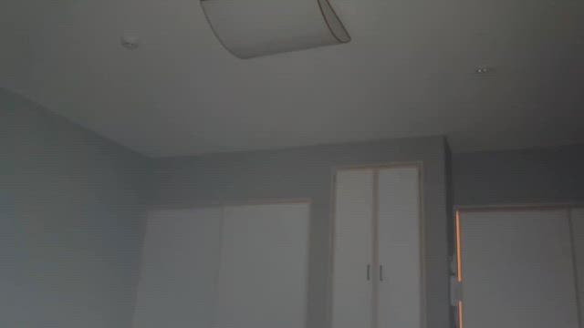 緑風荘のオーブの記事動画