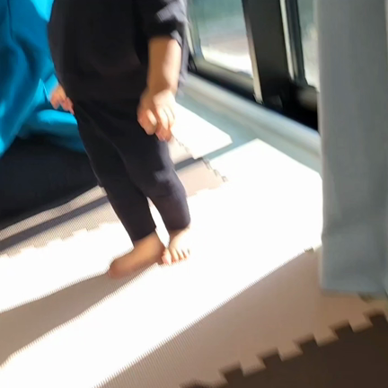 落ち葉の記事動画