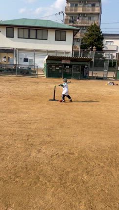 桜塚会場　幼児が野球を頑張っている動画の記事動画
