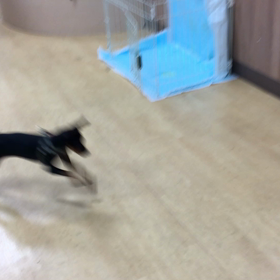 基本って大事よ〜。の画像