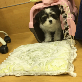 すんばらしい。の画像