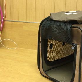 いつでも入ろうね。の画像