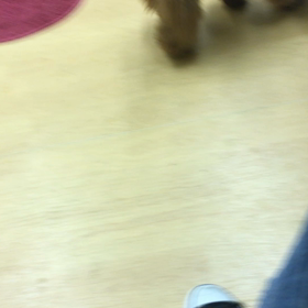 しっぽで語ります。の画像