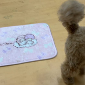 毎日することが、次の学習に繋がります。の画像