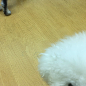 以前なら食べられなかったわさ。の画像