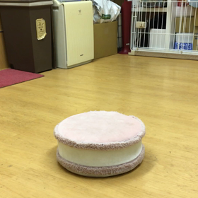 次回頑張ろう！！の画像