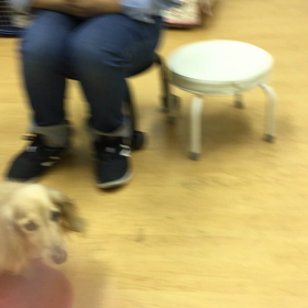 成長したわねぇ。の画像