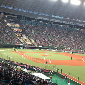 今年の野球が終わりましたの画像