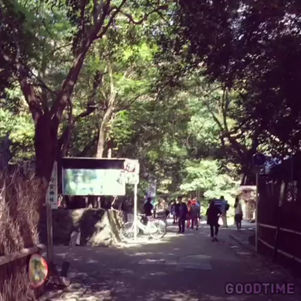 京都旅行の記事動画