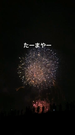 ８月、夏。の記事動画