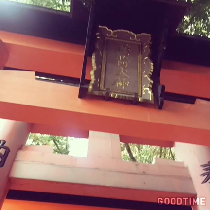 京都旅行の記事動画