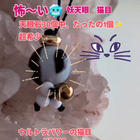 2025/06/13の画像