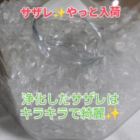 2026/03/16の画像