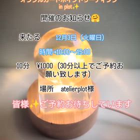 2024/11/12の画像