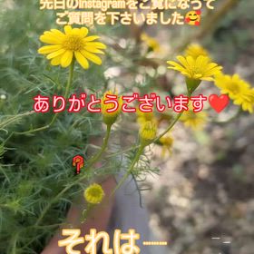 2024/11/20の画像