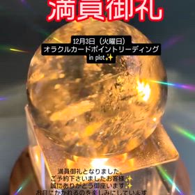 2024/11/26の画像