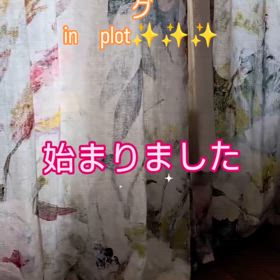 2025/02/13の画像
