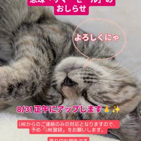 2025/08/22の画像