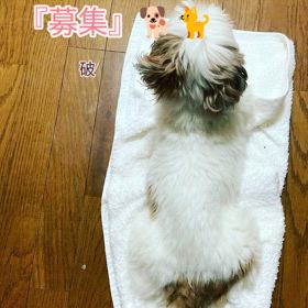 2024/07/23の画像