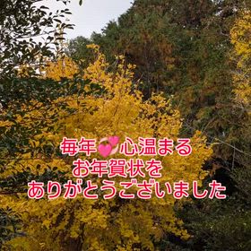 2025/12/01の画像