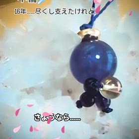 2025/03/12の画像